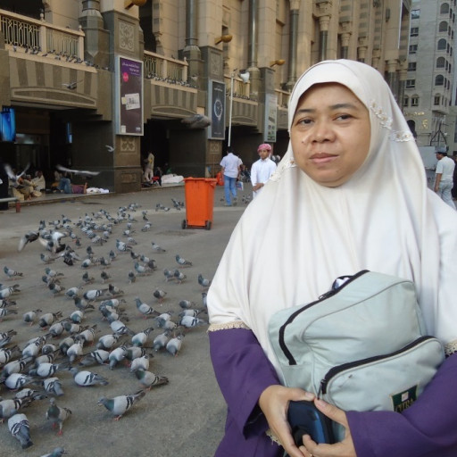 Dra. Ida Widaningrum, M.Kom