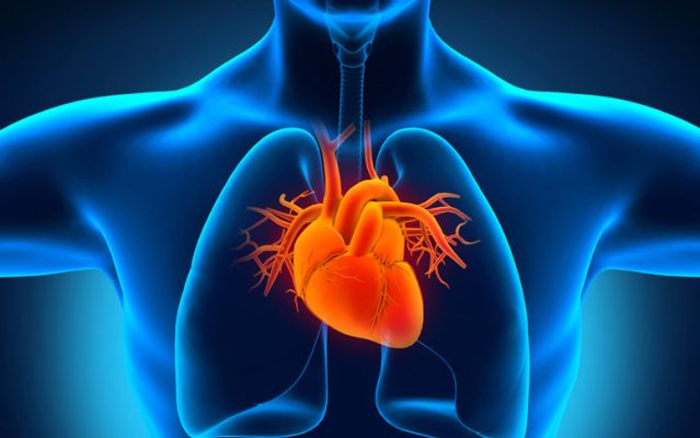 KARDIOVASKULER DAN PULMONAL